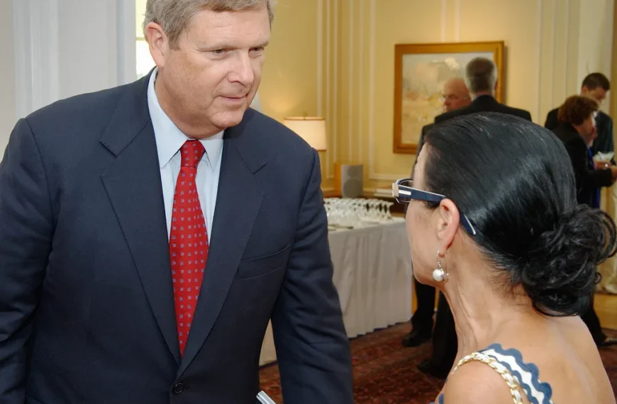 cooked tapioca pearls