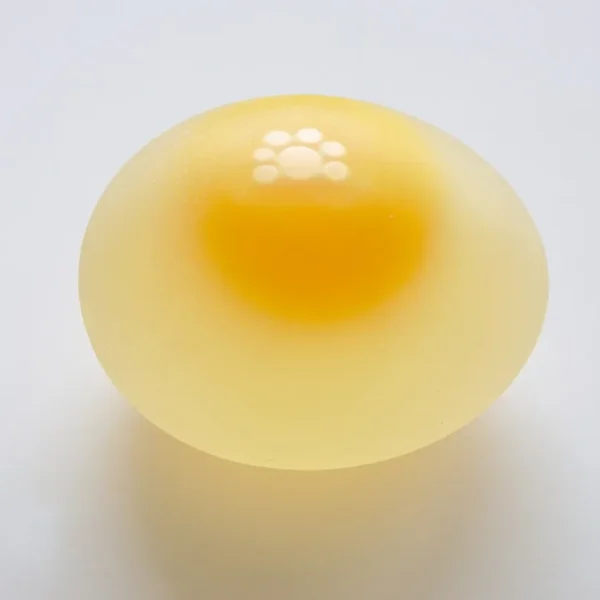 Egg & Chicken: Healthy? Nutrition Facts, Recipes & Benefits