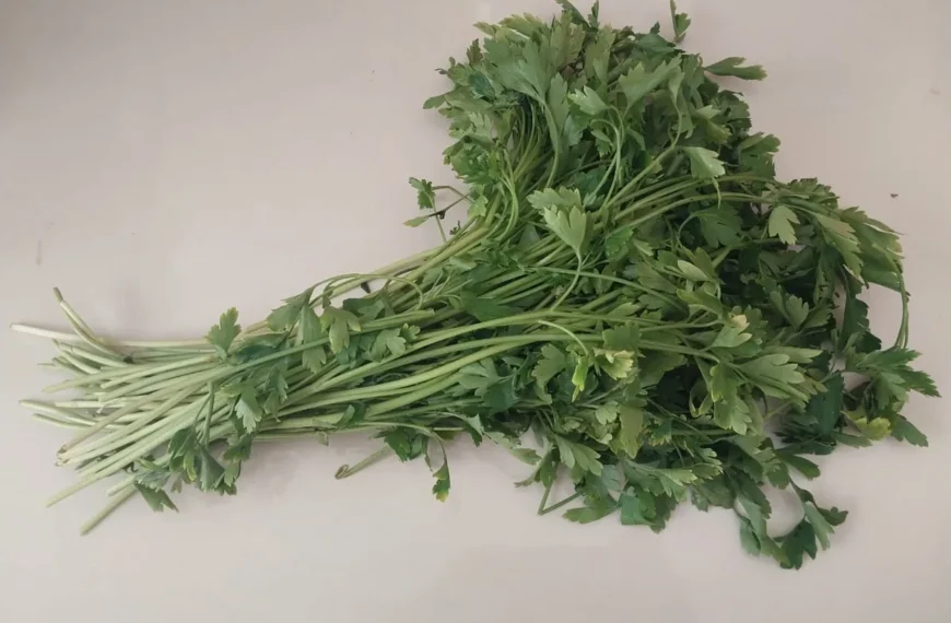 fideo recipe