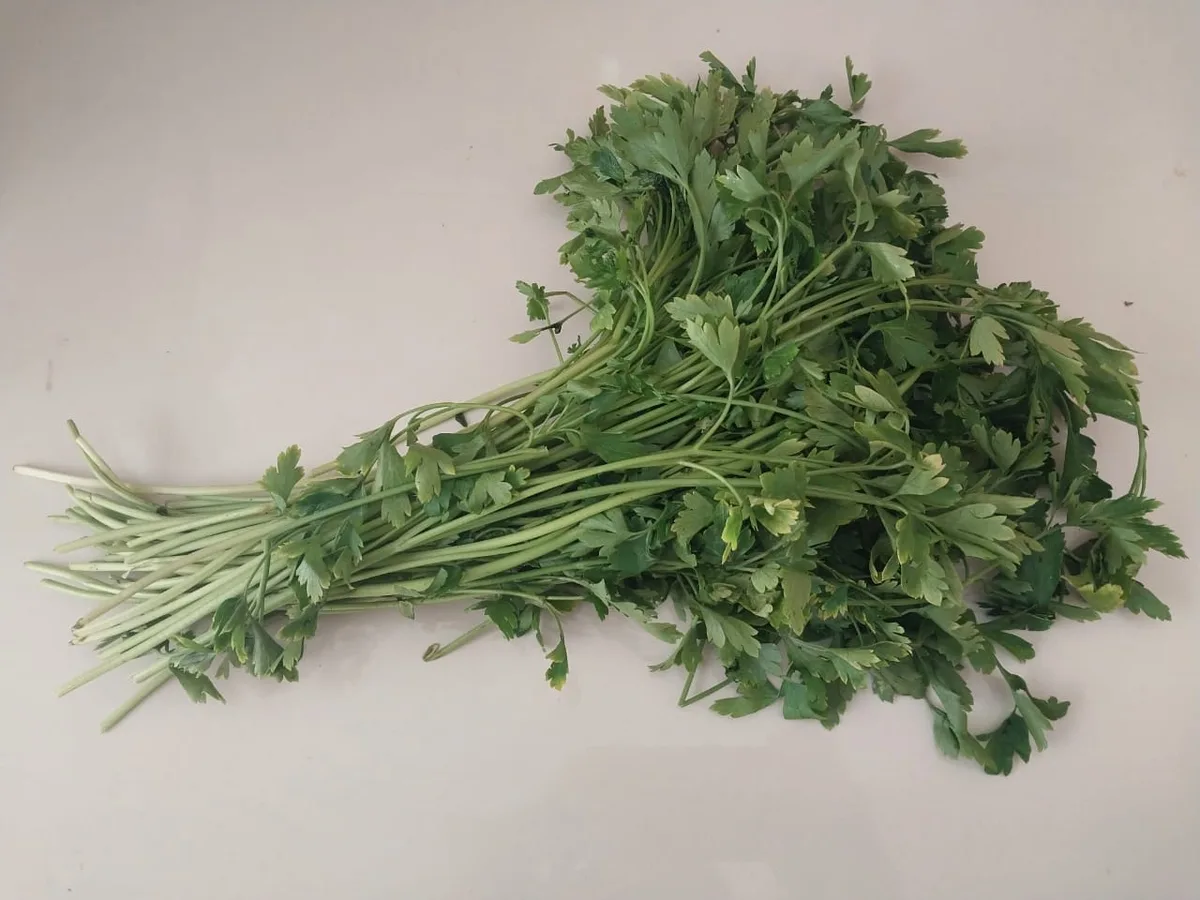 fideo recipe