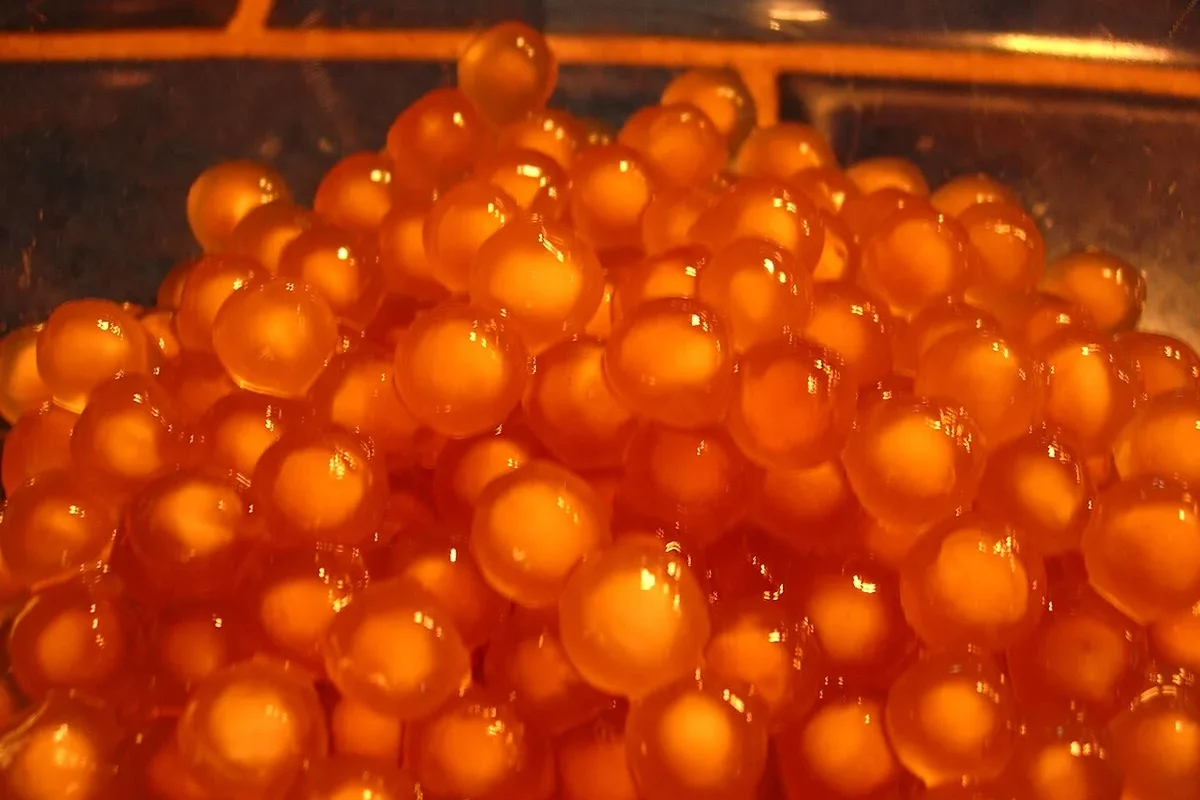 tapioca pearls