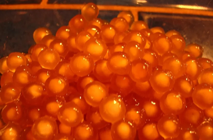 tapioca pearls