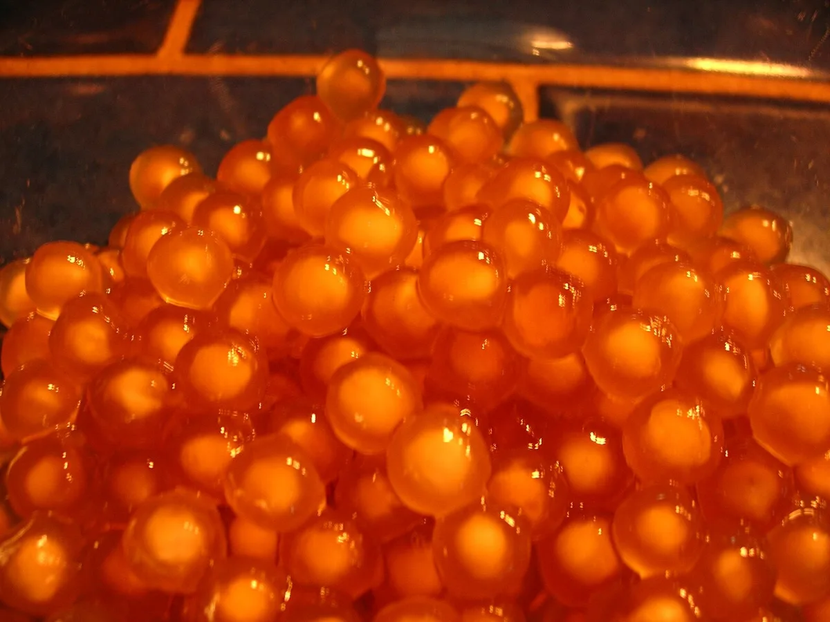 tapioca pearls