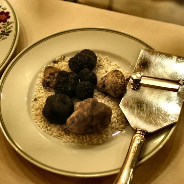 Truffle Mushroom: What It Is, How It Tastes & How to Use It