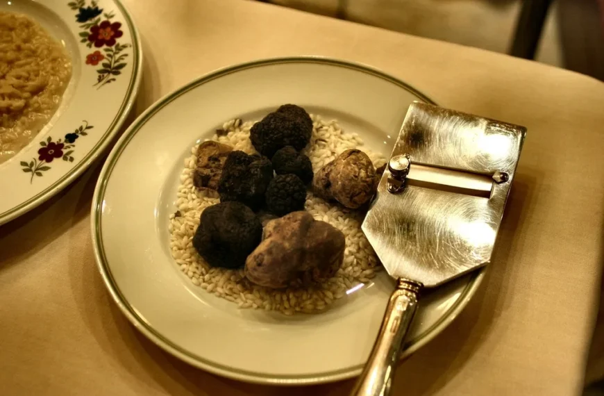 truffle slicer