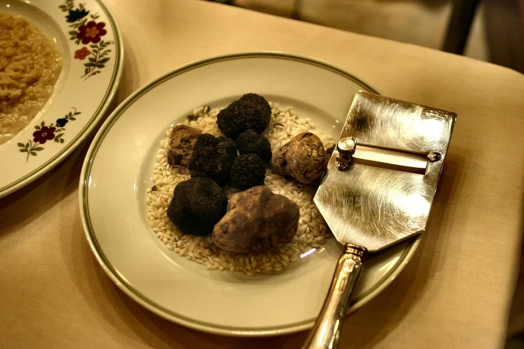 truffle slicer